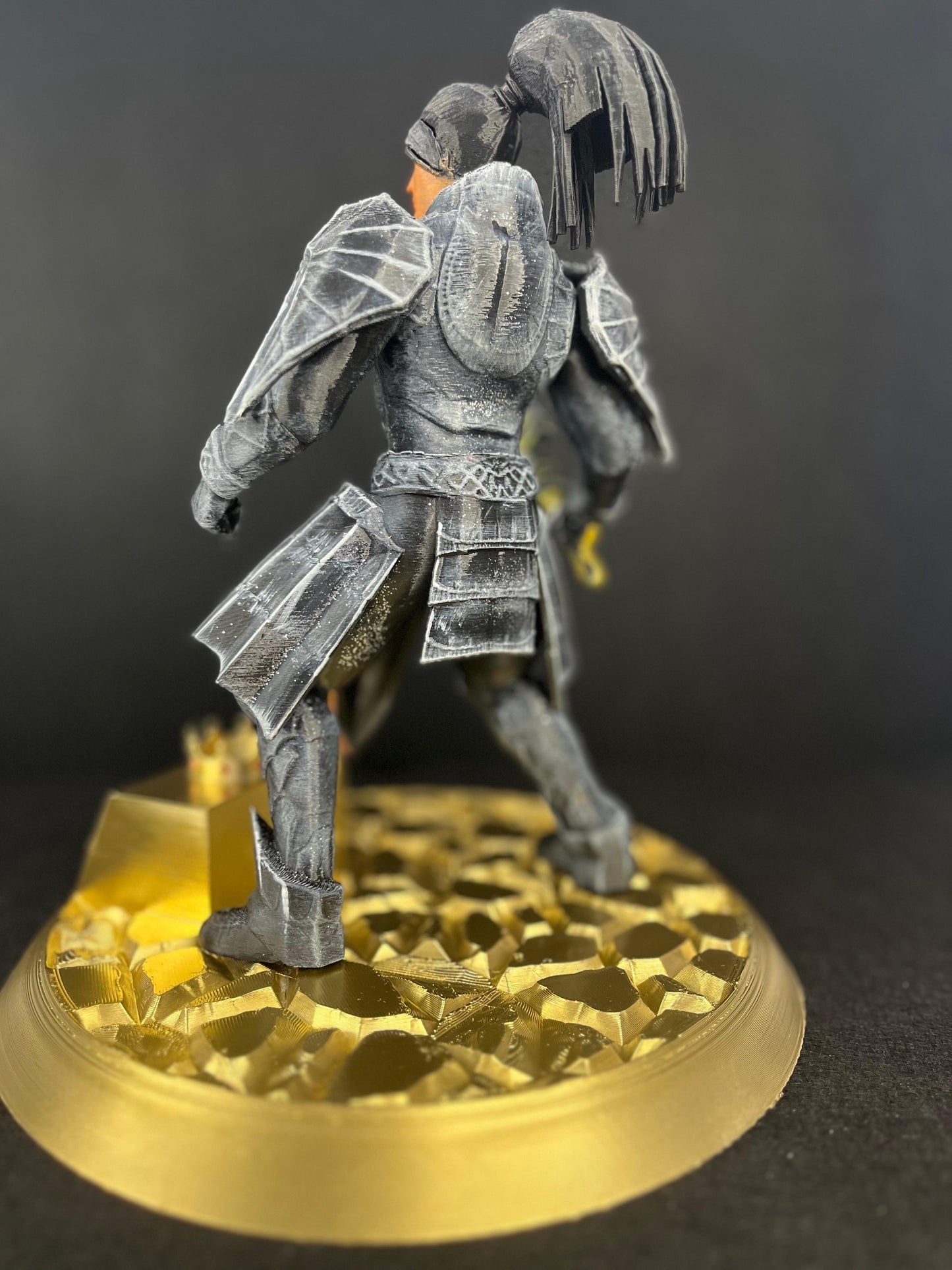 Warrior Trophy Black Armour