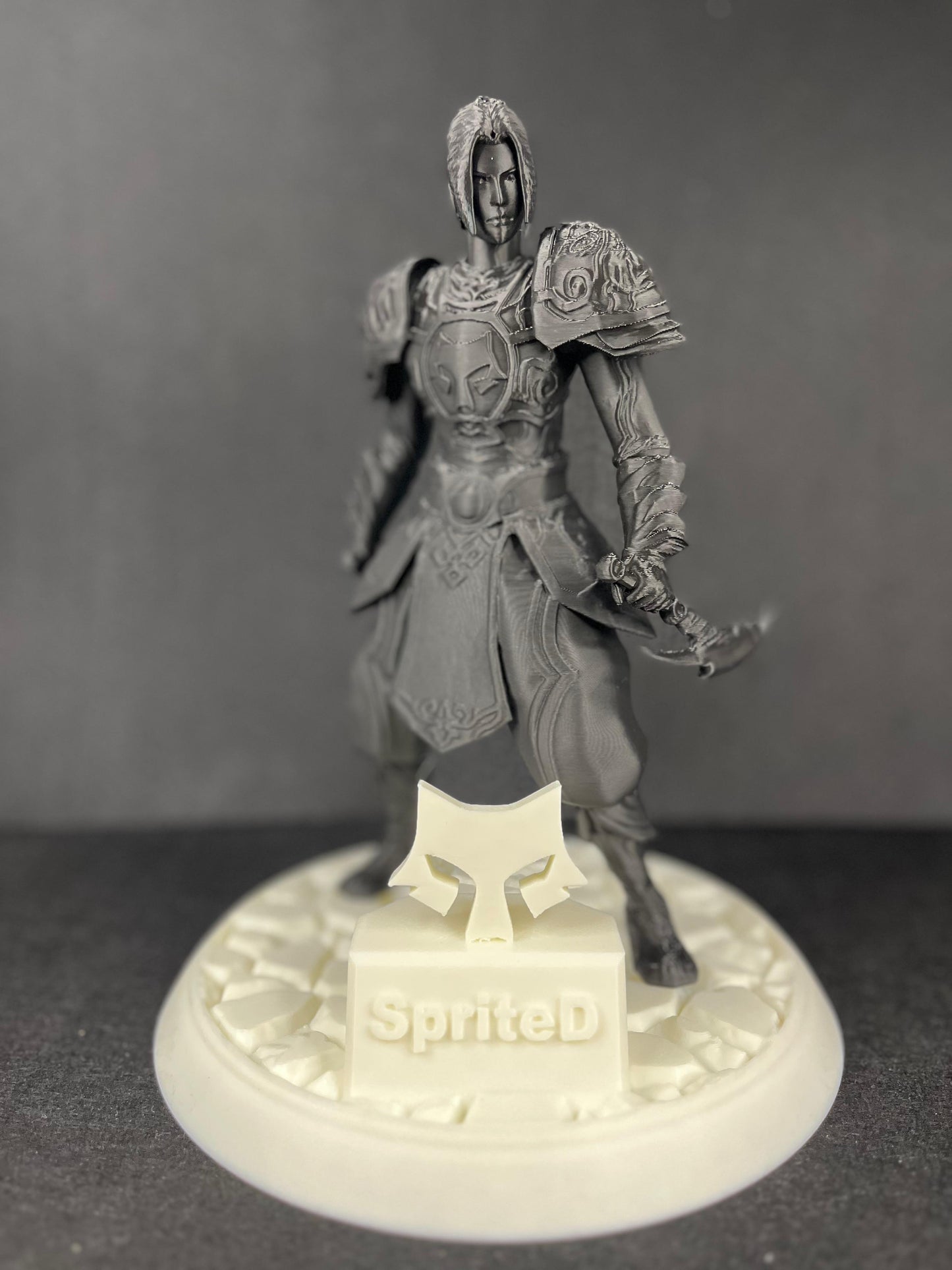 Ninja Trophy In Armour