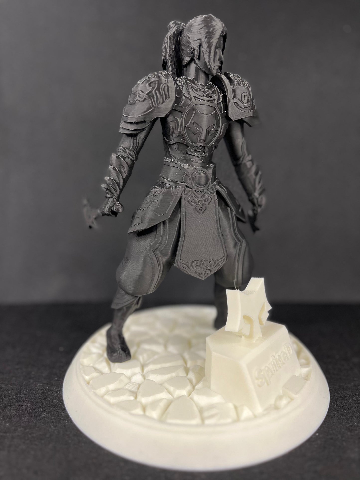 Ninja Trophy In Armour