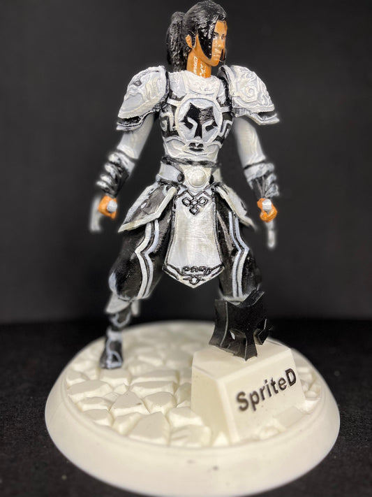 Ninja Trophy In Armour