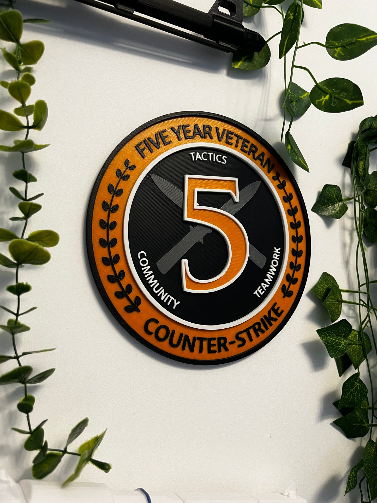 5Year SHOOTER COIN 20cm