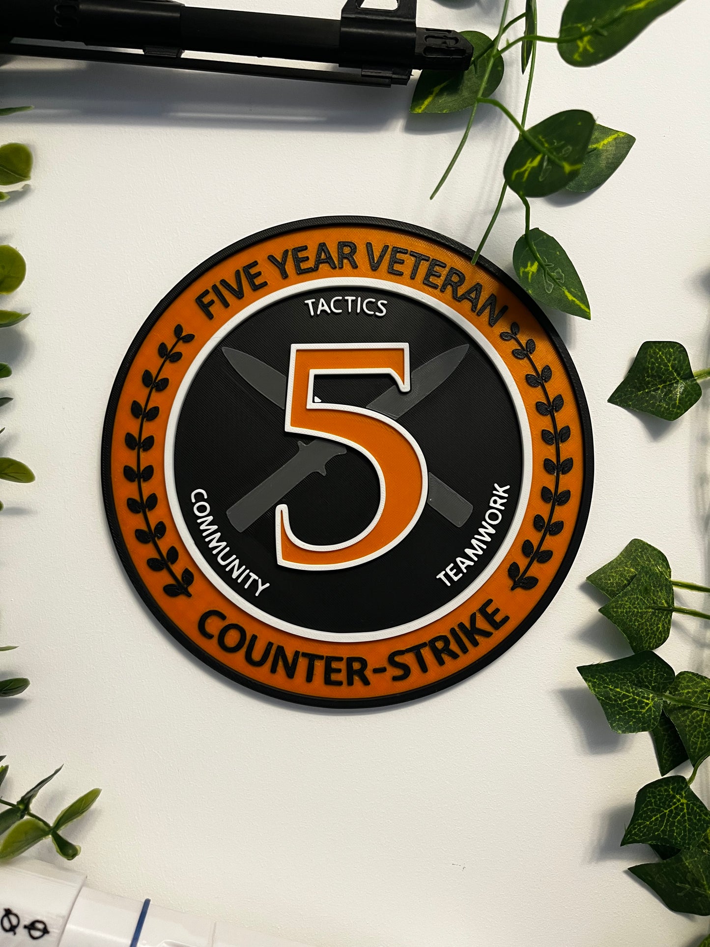 5Year SHOOTER COIN 20cm