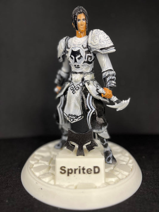 Ninja Trophy In Armour