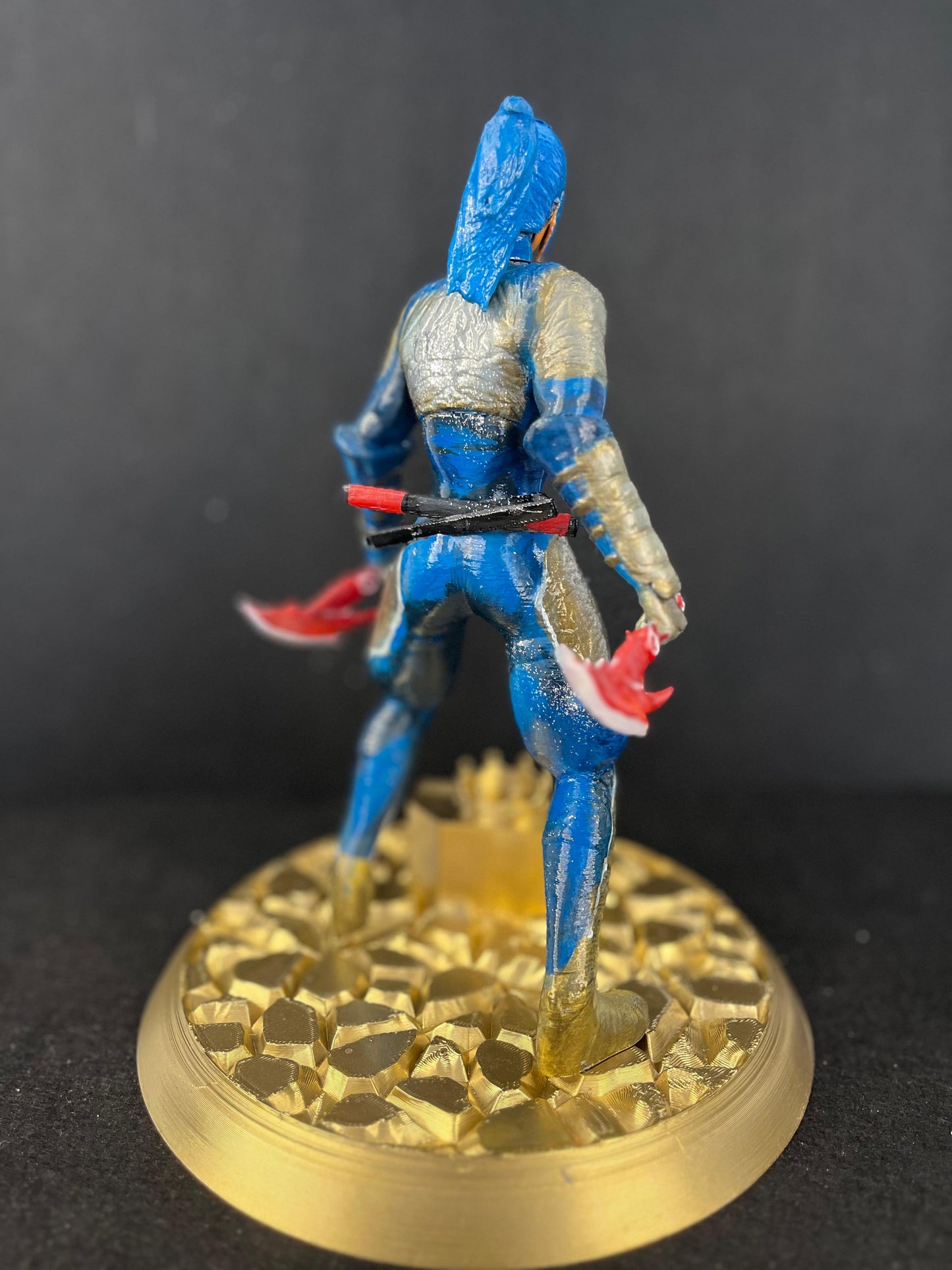 Ninja Trophy Blue Suit