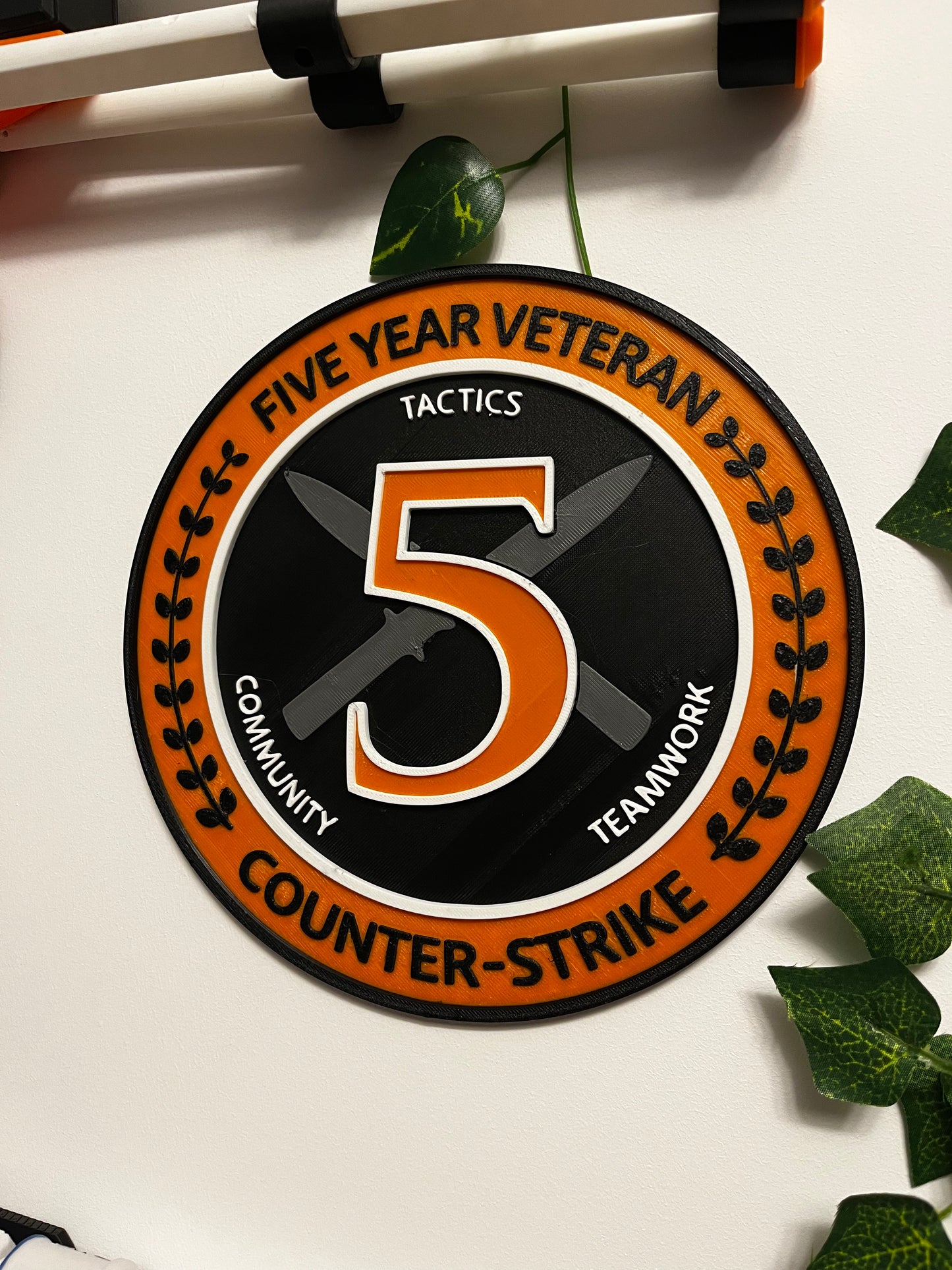 5Year SHOOTER COIN 20cm